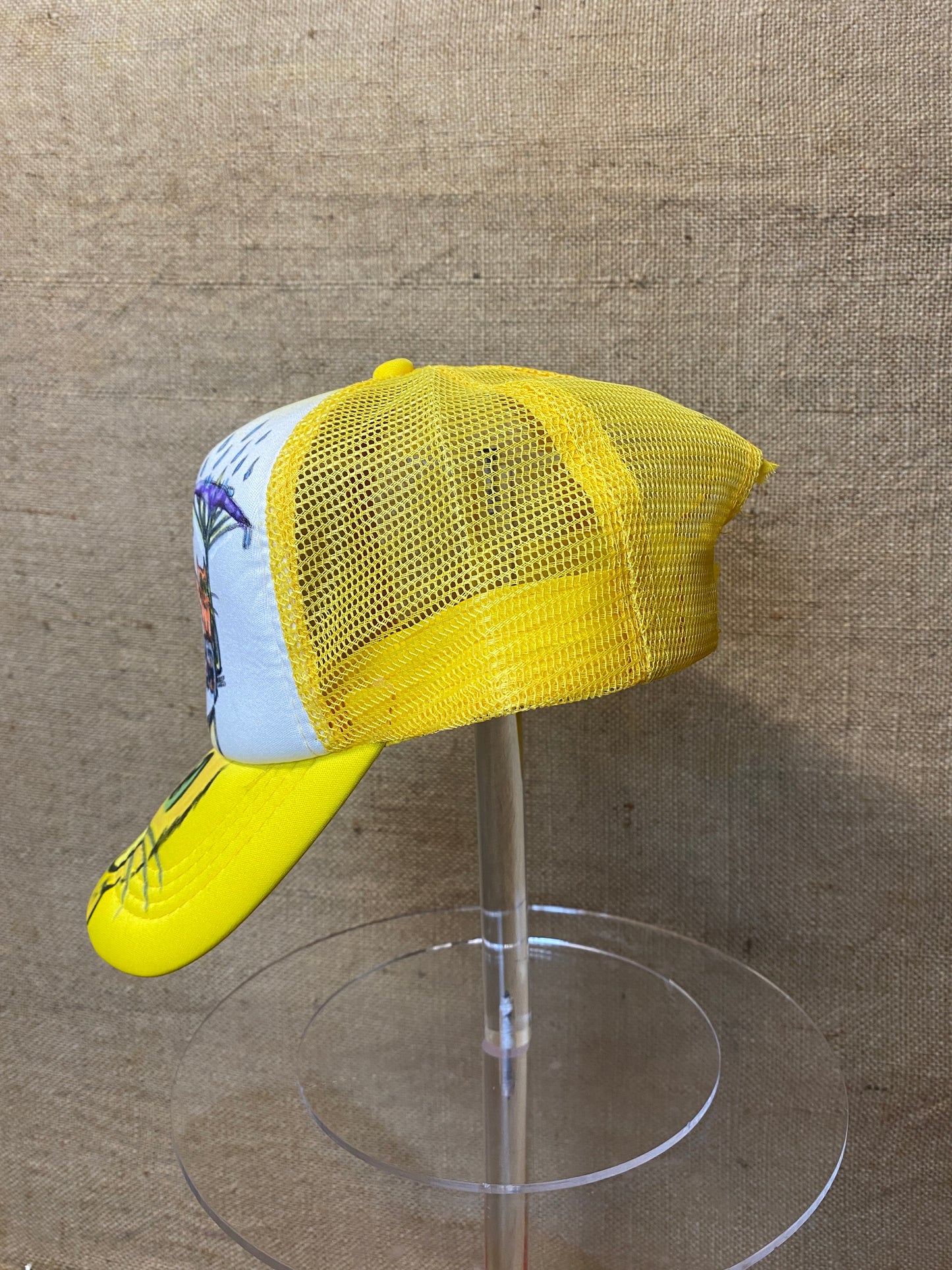 Handpainted cat yellow hat