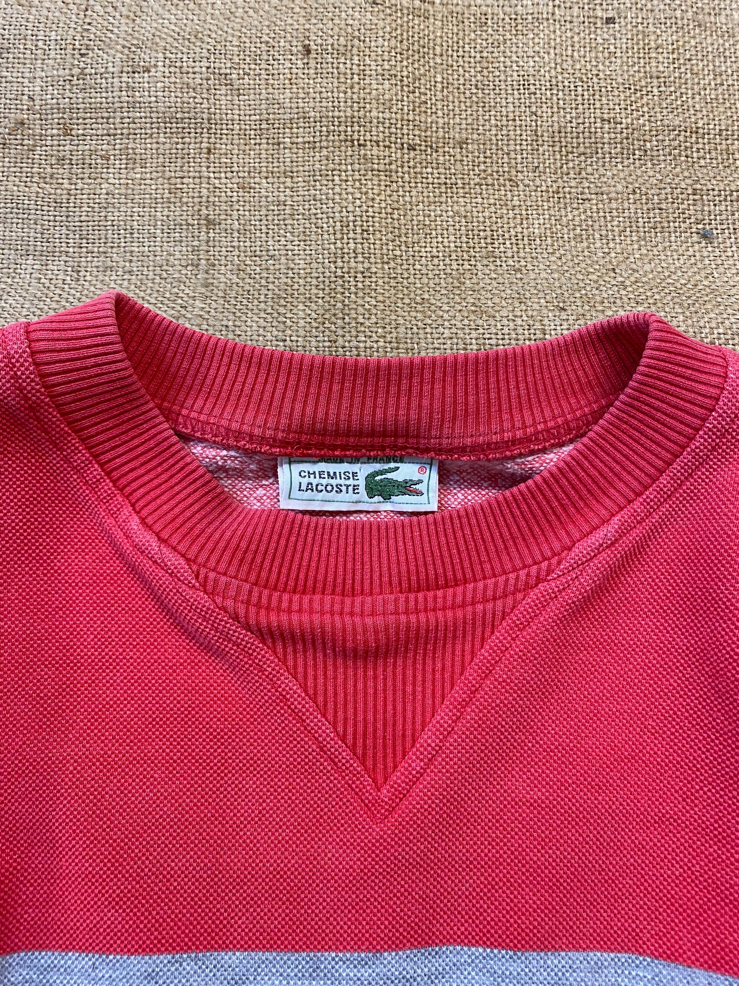 Lacoste club tricolore sweatshirt